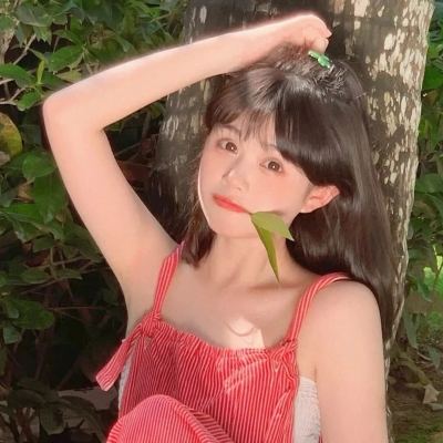 口袋大冒险游戏下载